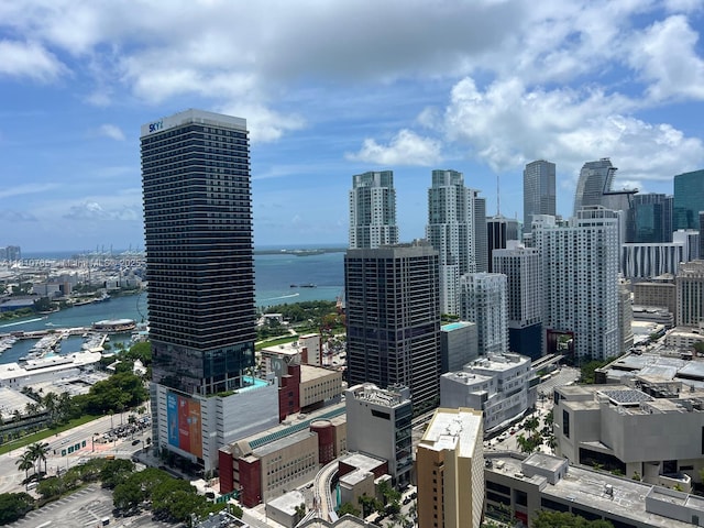 601 NE 1st Ave Unit 3205, Miami, FL 33132 - skyline view with a nearby body of water