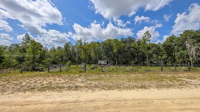 0 NE 65th St, Williston, FL 32696 - photo 5