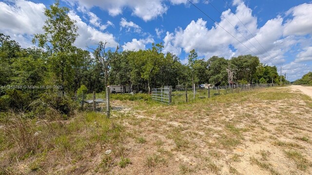 0 NE 65th St, Williston, FL 32696 - photo 10