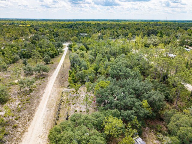 0 NE 65th St, Williston, FL 32696 - photo 11