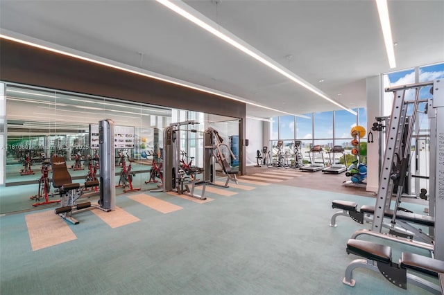 3900 Biscayne Blvd Unit S-218, Miami, FL 33137 - workout area featuring carpet flooring