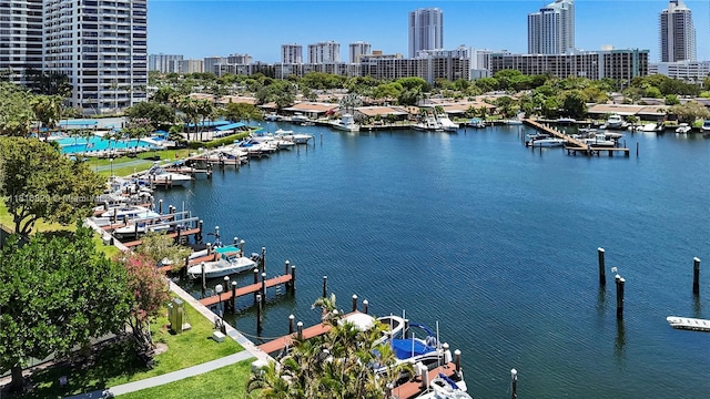 500 Three Islands Blvd Unit 1112, Hallandale Beach, FL 33009 - water view featuring skyline, a boat dock, and numerous boat docks
