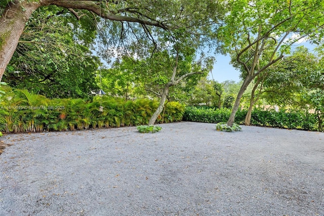 266 NW 42nd St, Miami, FL 33127 - view of yard