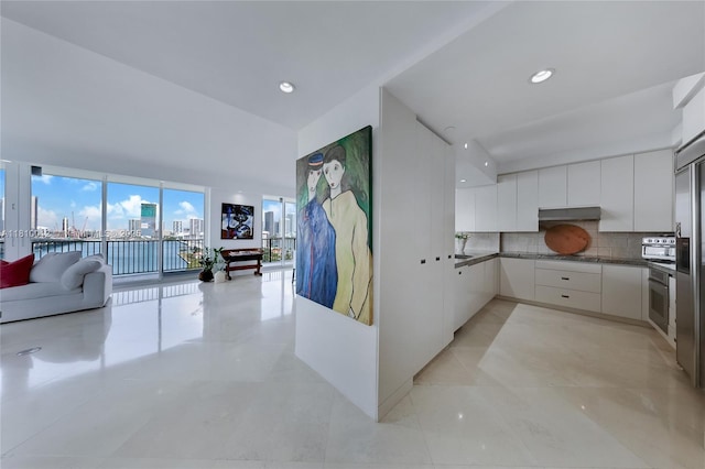 1000 Venetian Way Unit 1304, Miami, FL 33139 - kitchen featuring under cabinet range hood, modern cabinets, open floor plan, tasteful backsplash, and oven