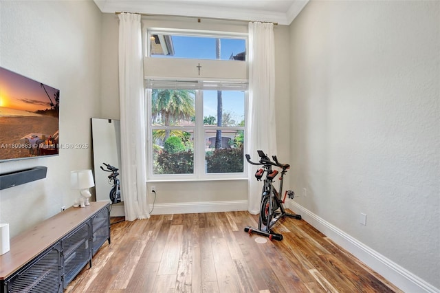 15122 SW 34th St, Davie, FL 33331 - workout room featuring baseboards and hardwood / wood-style flooring