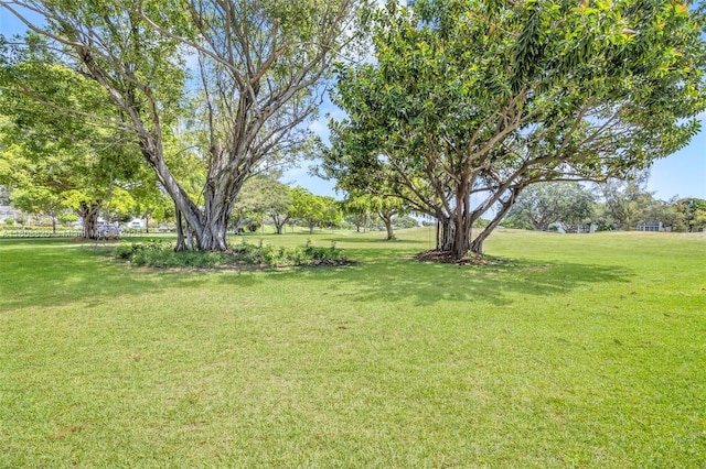 2002 Lyndhurst H Unit 2002, Deerfield Beach, FL 33442 - view of green lawn