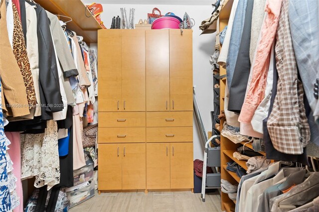 3245 NE 184th St Unit 13402, Aventura, FL 33160 - view of spacious closet