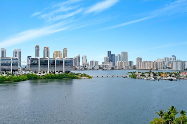 3250 NE 188th St Unit Uph08, Aventura, FL 33180 - water view featuring skyline