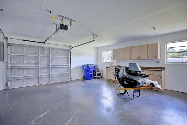100 Honeysuckle Ln, Lake Placid, FL 33852 - garage featuring a garage door opener