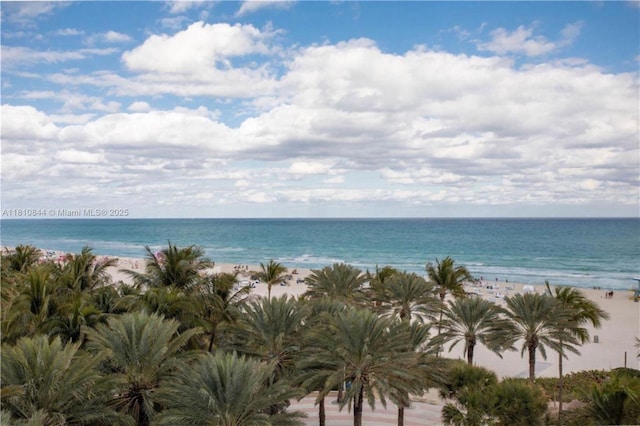 100 Lincoln Rd Unit 647, Miami Beach, FL 33139 - water view featuring nearby beach