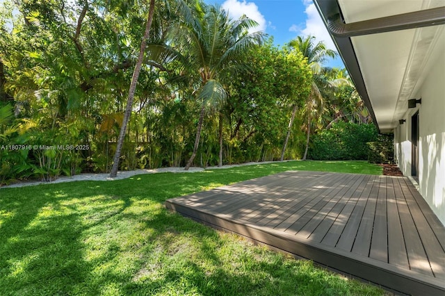 4250 Bay Point Rd, Miami, FL 33137 - wooden terrace with a lawn