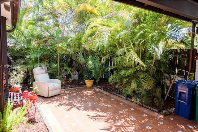 13284 SW 108th St Cir, Miami, FL 33186 - view of patio