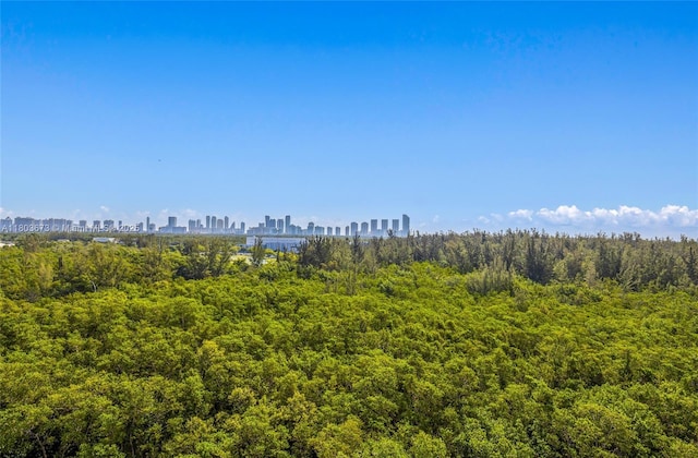 14951 Royal Oaks Ln Unit 901, North Miami, FL 33181 - view of local wilderness with city skyline