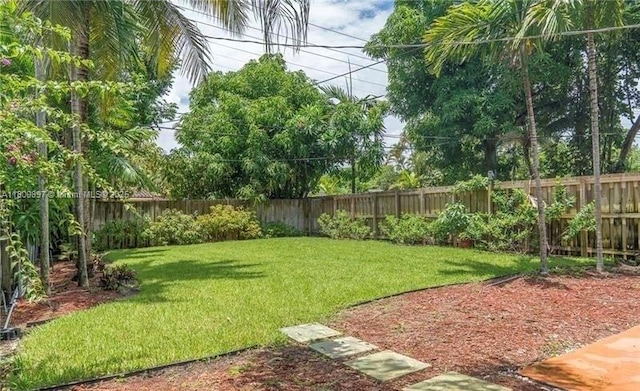 1215-1217 NE 16th Ave, Fort Lauderdale, FL 33304 - view of yard