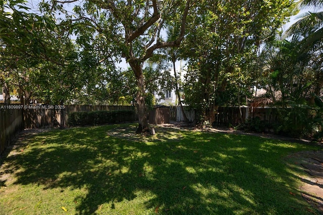 1215-1217 NE 16th Ave, Fort Lauderdale, FL 33304 - view of yard