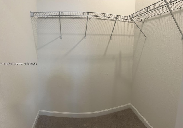 245 SW 159th Ct, Pembroke Pines, FL 33027 - walk in closet with carpet floors