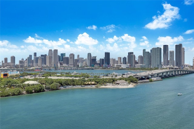 1000 Venetian Way Unit 1306, Miami, FL 33139 - photo 14