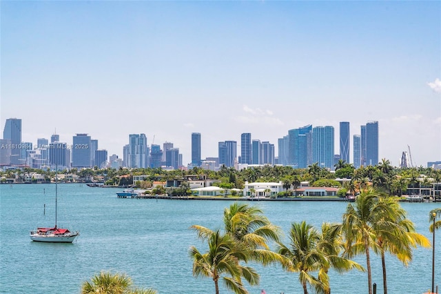 9 Island Ave Unit 505, Miami Beach, FL 33139 - water view with skyline