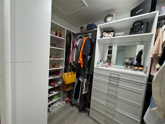 14601 SW 99th Ave, Miami, FL 33176 - walk in closet featuring light wood-type flooring and attic access