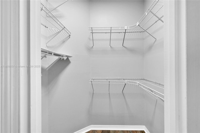 7974 Niagara Falls Ct, Orlando, FL 32825 - walk in closet with wood finished floors
