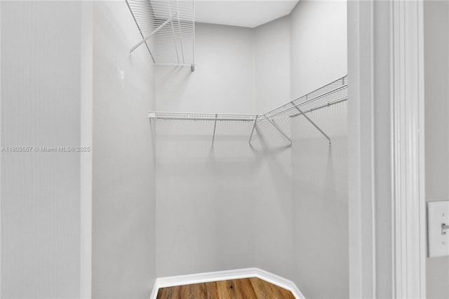 7974 Niagara Falls Ct, Orlando, FL 32825 - spacious closet with wood finished floors