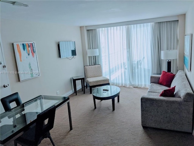 2670 E Sunrise Blvd Unit 523, Fort Lauderdale, FL 33304 - living room featuring carpet flooring