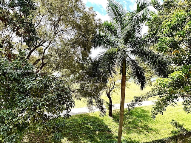 9350 Fontainebleau Blvd Unit 414, Miami, FL 33172 - view of local wilderness