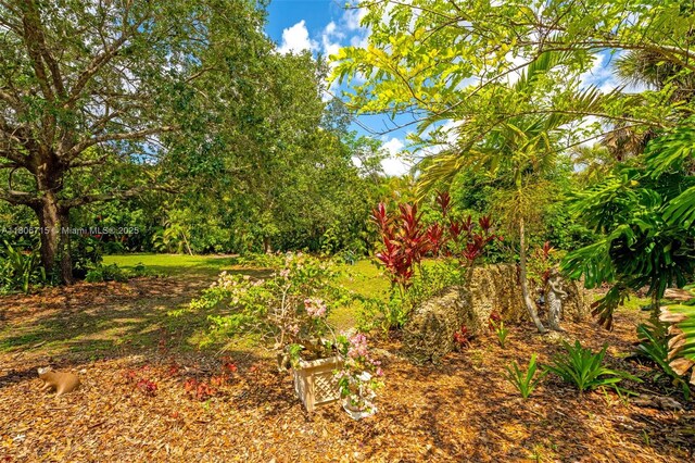 15820 SW 250th St, Homestead, FL 33031 - view of yard
