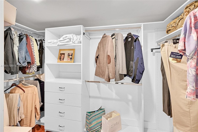 863 W Coco Plum Cir, Plantation, FL 33324 - view of walk in closet