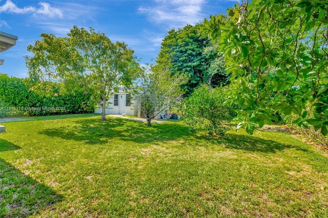 2763 NW 3rd St, Miami, FL 33125 - view of green lawn
