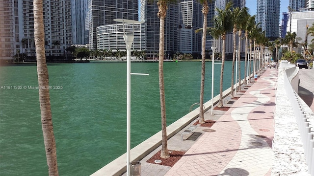325 S Biscayne Blvd Unit 14, Miami, FL 33131 - water view with city skyline
