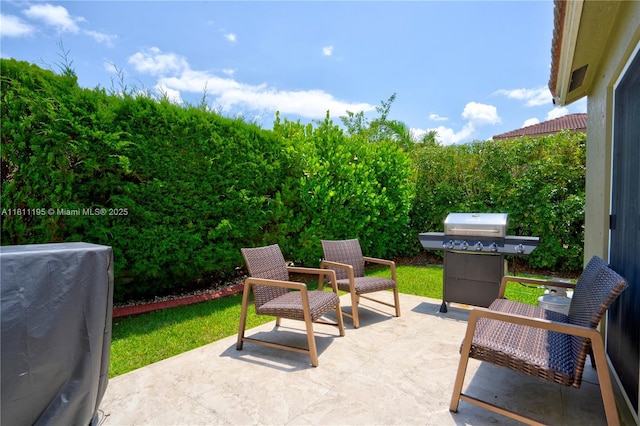 1482 Canary Island Dr, Weston, FL 33327 - view of patio / terrace with area for grilling
