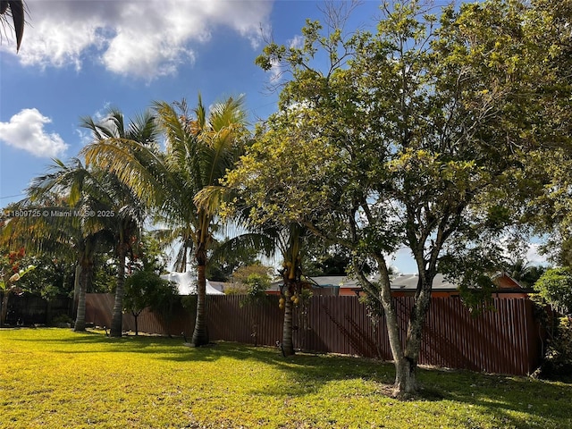 4888 NW 8th Ct, Plantation, FL 33317 - view of yard