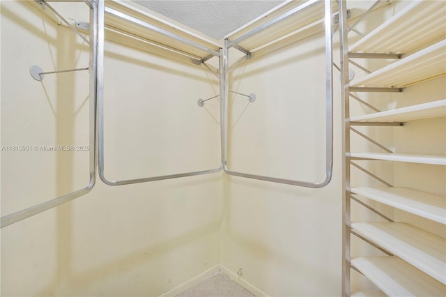 9091 Lime Bay Blvd Unit 110, Tamarac, FL 33321 - view of spacious closet