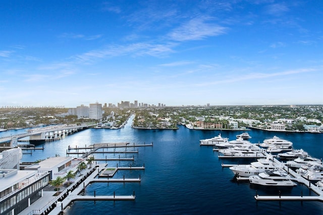200 S Birch Rd Unit 1206, Fort Lauderdale, FL 33316 - water view featuring nearby urban area and numerous boat docks