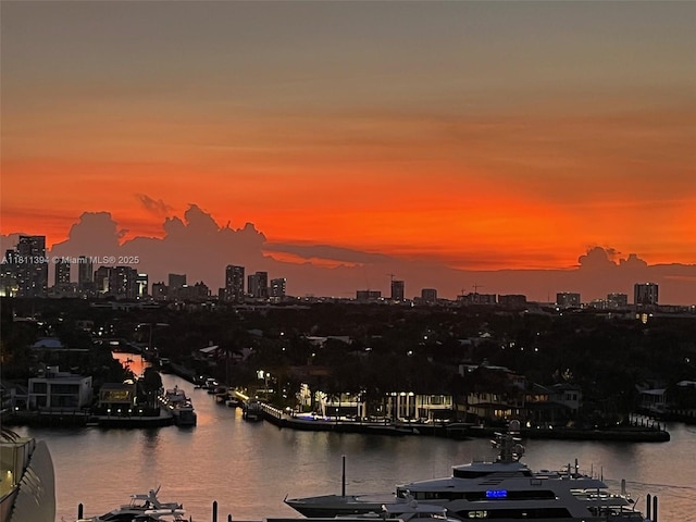 200 S Birch Rd Unit 1206, Fort Lauderdale, FL 33316 - water view with skyline