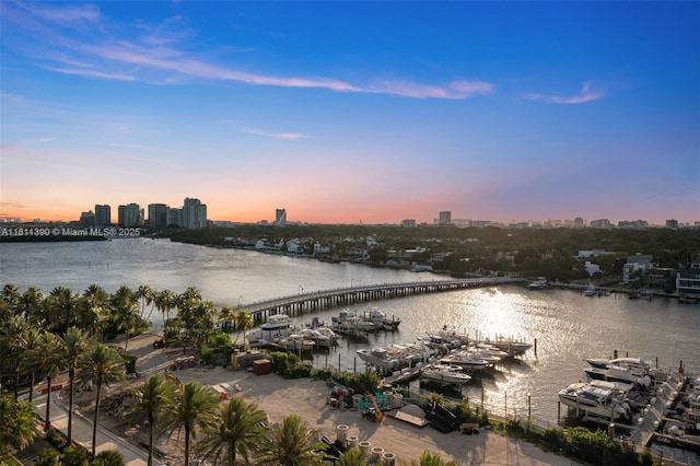 2 Grove Isle Dr Unit B1108, Miami, FL 33133 - water view featuring skyline and a notable bridge
