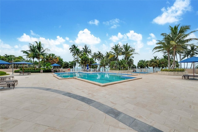2 Grove Isle Dr Unit B1108, Miami, FL 33133 - community pool with a patio