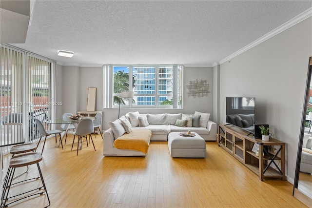 2000 N Bayshore Dr Unit 401, Miami, FL 33137 - living area with a textured ceiling, light wood-style floors, ornamental molding, and healthy amount of natural light