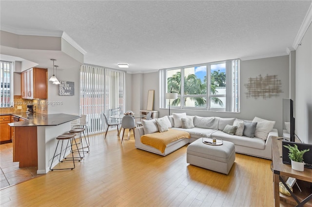 2000 N Bayshore Dr Unit 401, Miami, FL 33137 - living area featuring crown molding, a textured ceiling, and light wood-style flooring