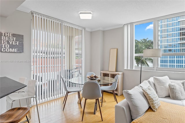 2000 N Bayshore Dr Unit 401, Miami, FL 33137 - dining room with wood finished floors, a textured ceiling, and crown molding