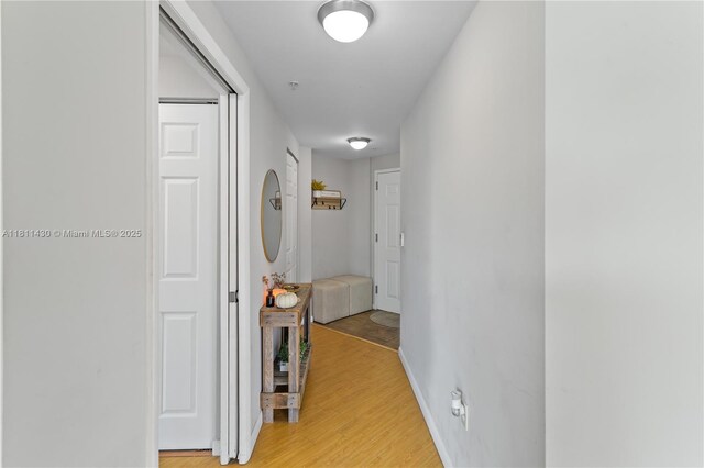2000 N Bayshore Dr Unit 401, Miami, FL 33137 - hall with light wood-style floors and baseboards