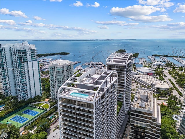 2678 Tigertail Ave Unit 513, Coconut Grove, FL 33133 - bird's eye view of a large body of water and numerous boat docks