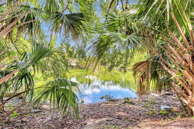 4035 N 110th Ave N, West Palm Beach, FL 33411 - water view