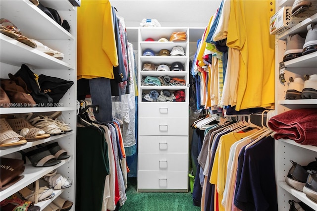 988 NW 110th Ave, Coral Springs, FL 33071 - walk in closet featuring carpet flooring
