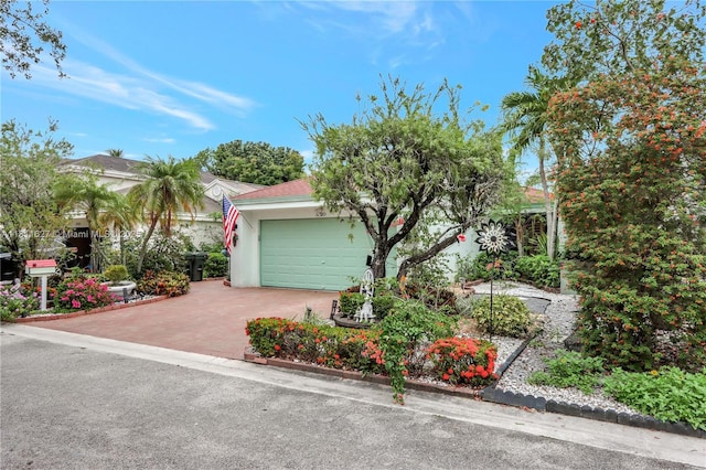 3720 NW 20th St, Coconut Creek, FL 33066 - obstructed view of property with stucco siding, driveway, and an attached garage