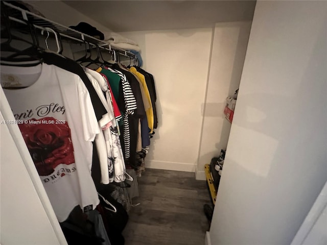 486 NW 165th St Rd Unit B-303, Miami, FL 33169 - spacious closet with wood finished floors