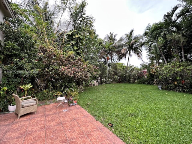 11920 SW 20th St, Miramar, FL 33025 - view of green lawn with a patio area