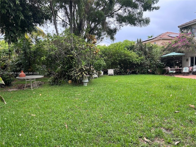 11920 SW 20th St, Miramar, FL 33025 - view of green lawn featuring a patio