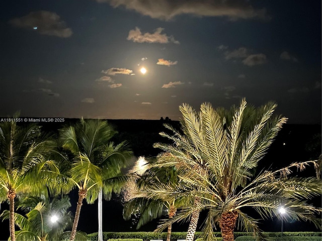 13627 Deering Bay Dr Unit 402, Coral Gables, FL 33158 - water view